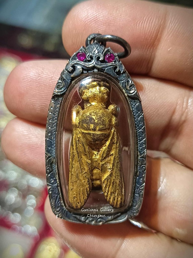 แมลงภู่คำไทยใหญ่(ตัวเมีย)