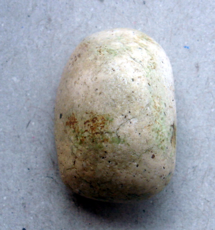 วัดพลับ เนื้อจัดๆ