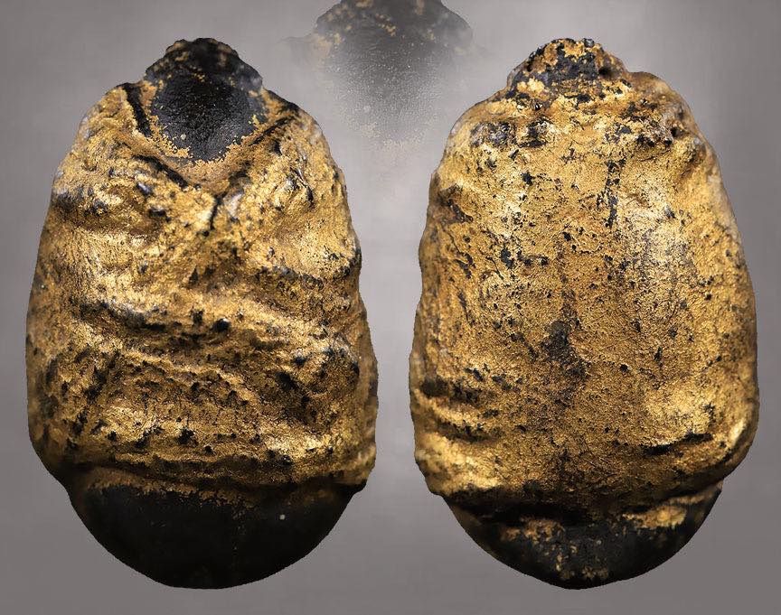 มหาเสน่ห์ศึกชิงนางบนขอนไม้