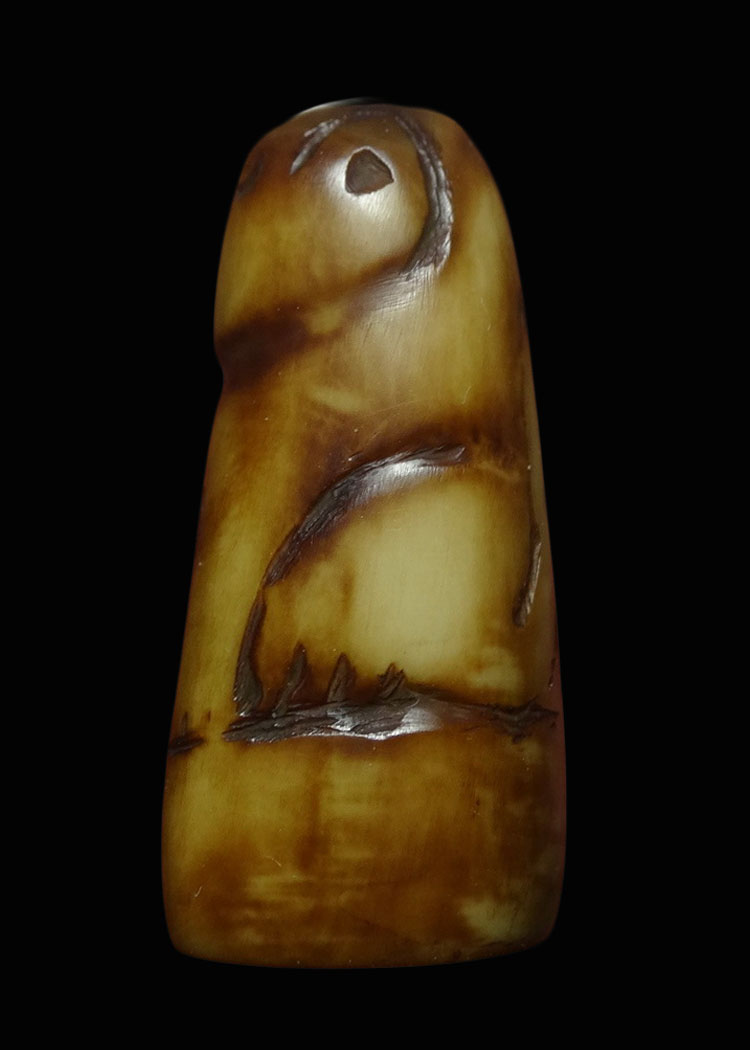 เสือสาริกา ปลายเขี้ยวเสือแกะ