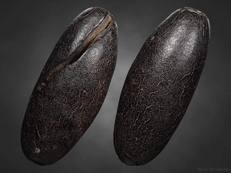 ตะกรุดพอกคลั่งหลวงพ่อทองศุขวัดโตนดหลวง