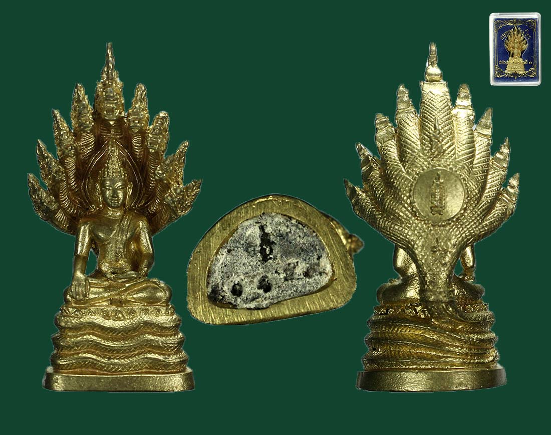 พระพุทธพิทักษ์ไพร รุ่นป่ายั่งยืน ปี 54