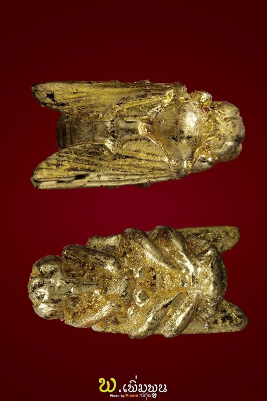 แมลงภู่คำ