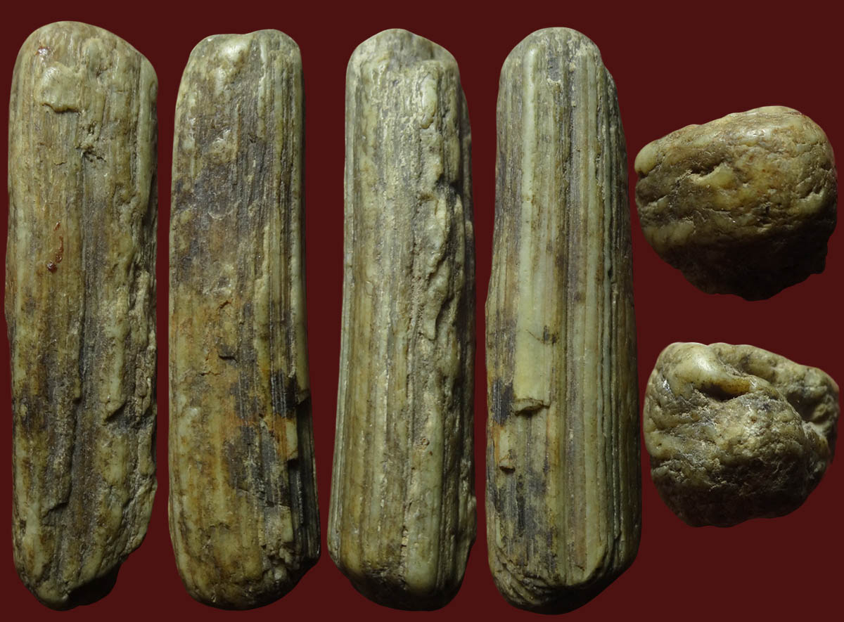 คตล้านนา ของทนสิทธิ์