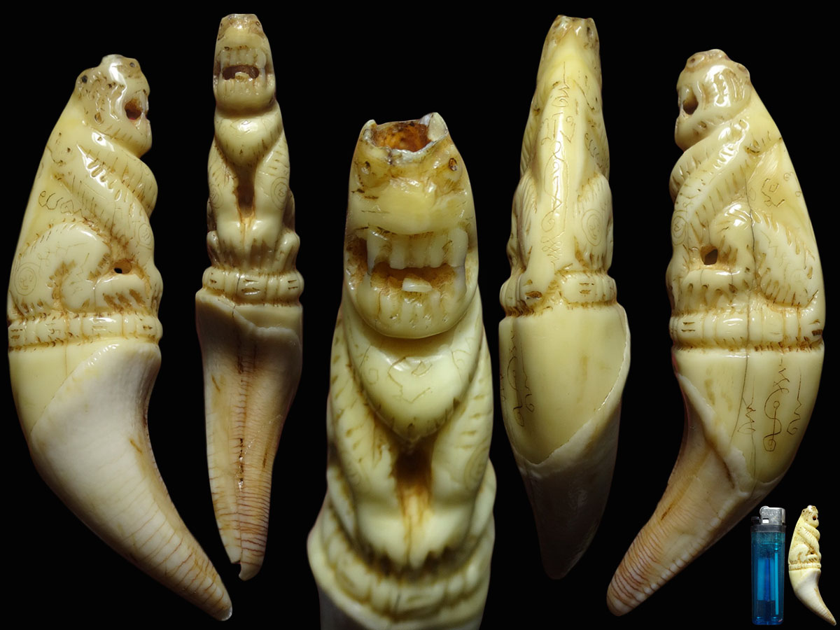 เขี้ยวหมี แกะเสือ หลวงพ่อคง วัดวังสรรพรส