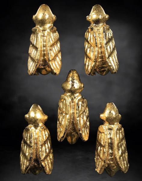 แมลงภู่คำล้านนา