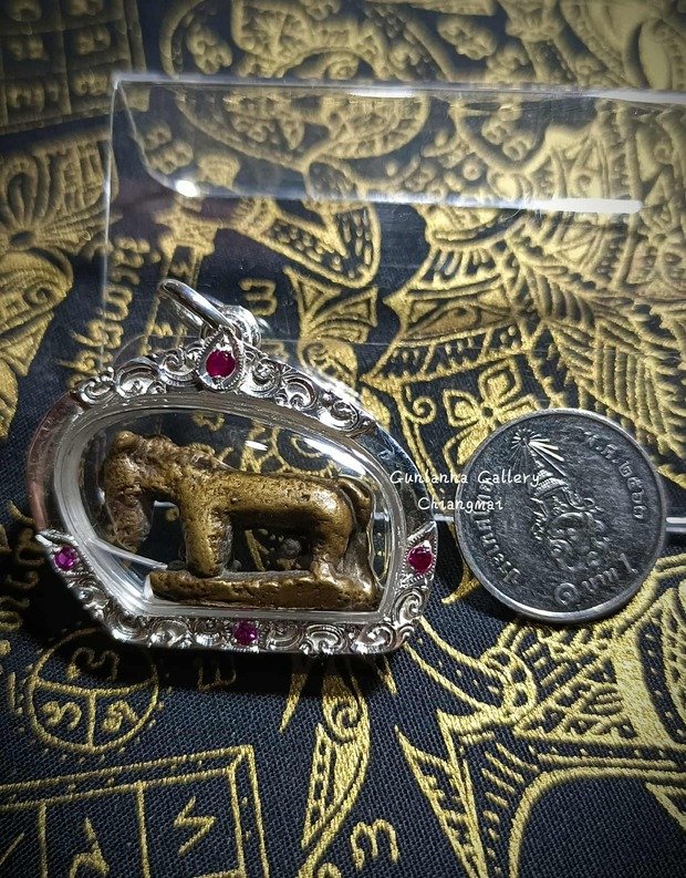 ม้าล้านนา ประจำปีมะเมีย