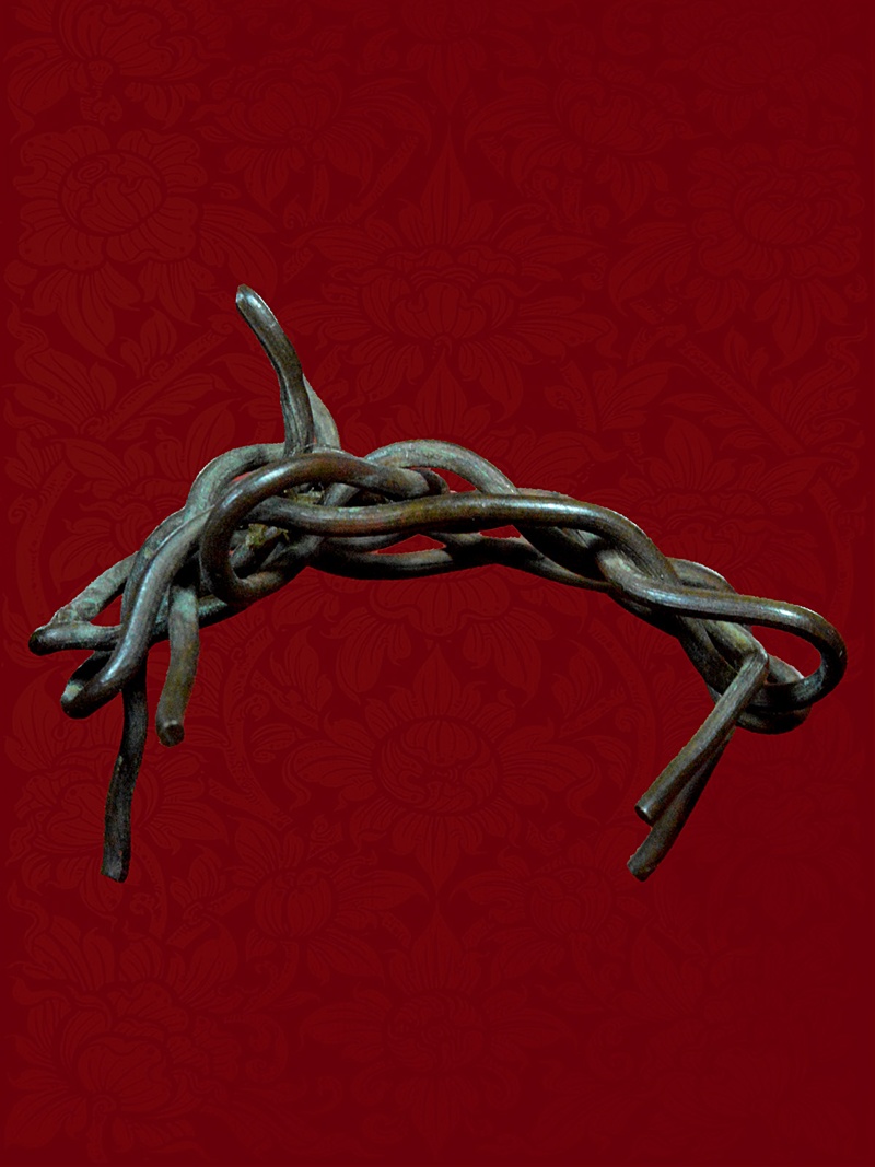 วัวธนูตองฟ้าผ่า ของทนสิทธิ์ มีฤทธิ์ในตัว