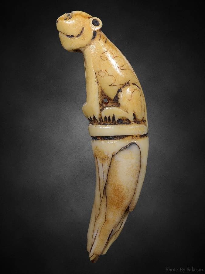 เขี้ยวเสือดาวแกะเสือมหาอำนาจ