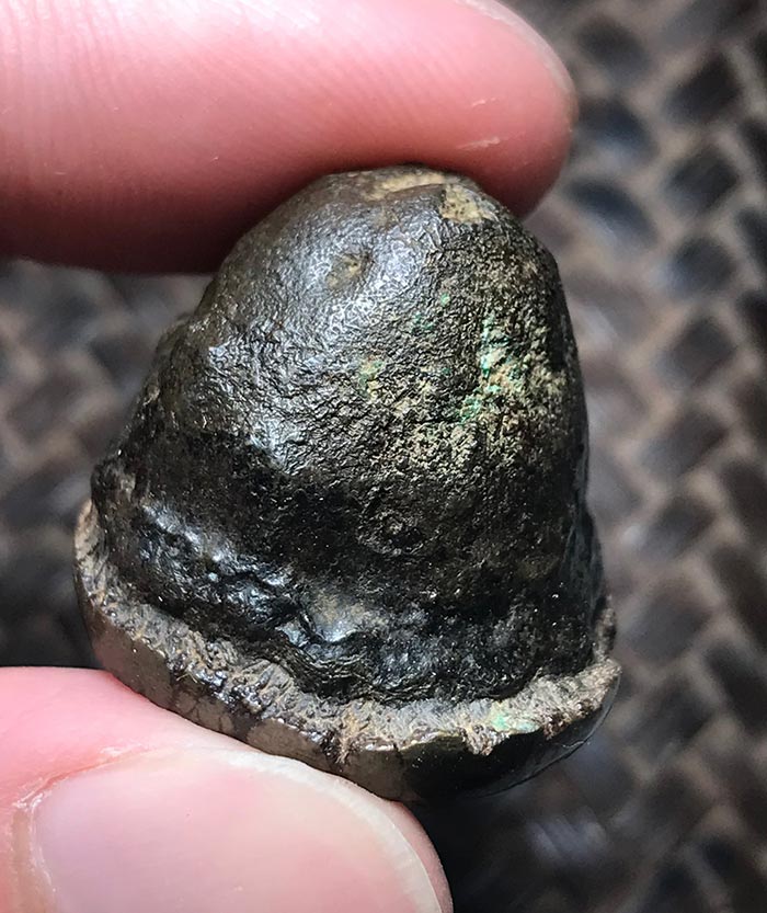 ดาหล่งพม่า Big size 