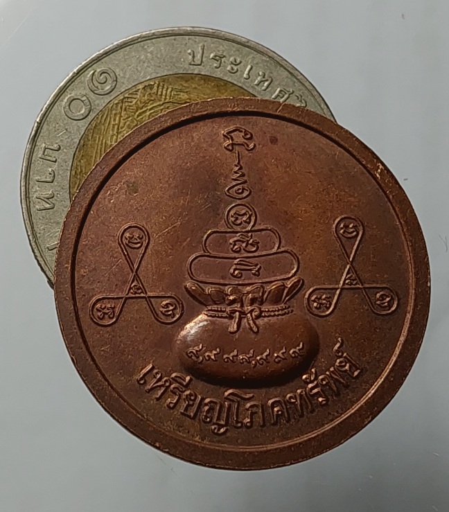 เหรียญโภคทรัพย์ หลวงปู่ทองเหลือ ปาลิโต วัดท่าไม้เหนือ