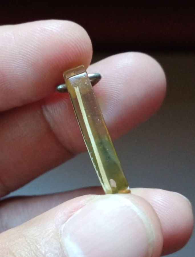 รูปถ่ายหลวงปู่ศุขหลังกรมหลวงชุมพร