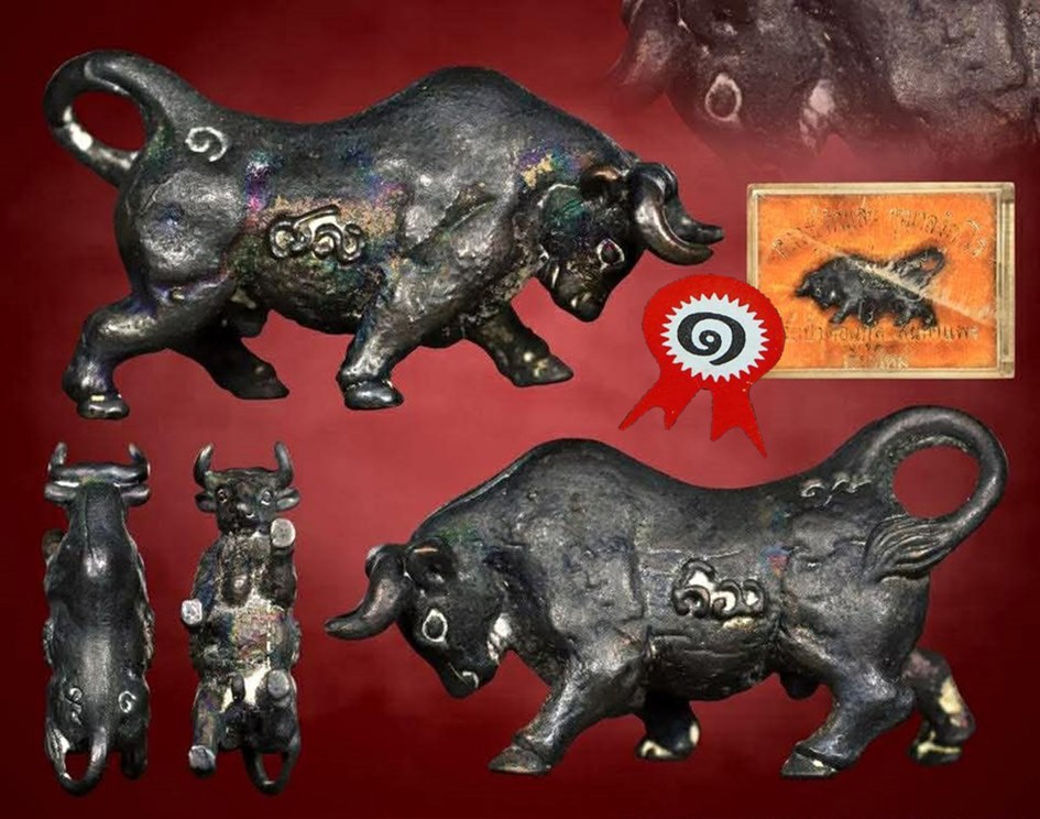 วัวธนูหลวงปู่คำแสน รุ่น 2 แชมป์ที่ 1