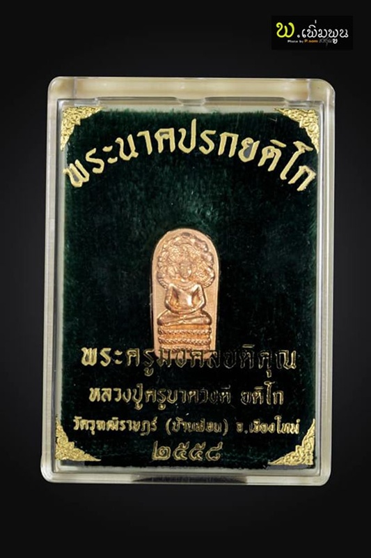 เหรียญนาคปรกใบมะขาม หลวงปู่ครูบาดวงดี