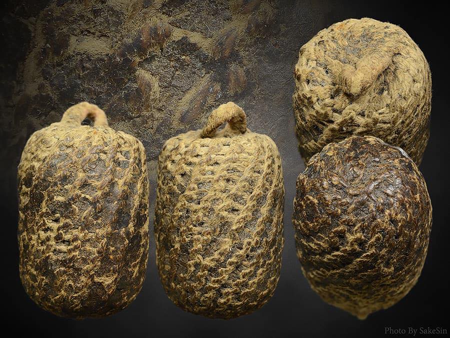 ตะกรุดไม้รวกหลวงปู่จันทร์วัดนางหนูลพบุรี