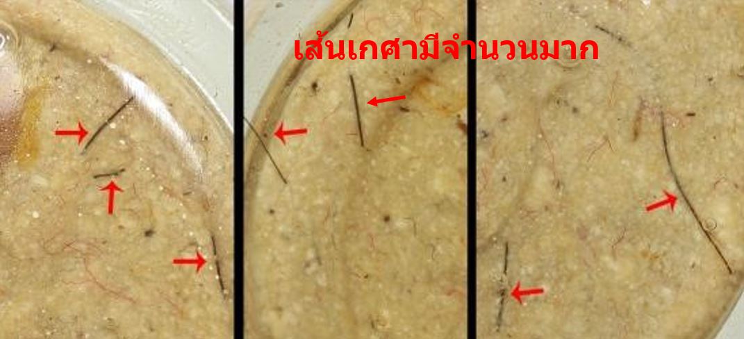หลวงปู่ทิม พระพิมพ์จันทร์ลอย วัดบ่อวิน