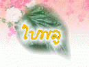 ใบพลู